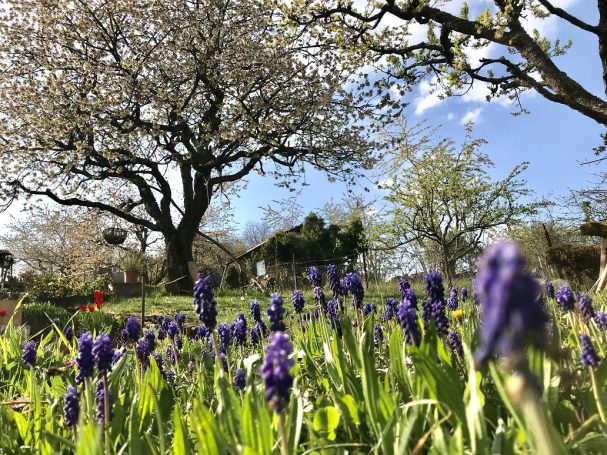 Über uns Nutzwasserversorgung Rohracker 1936 Galerie Bild 8