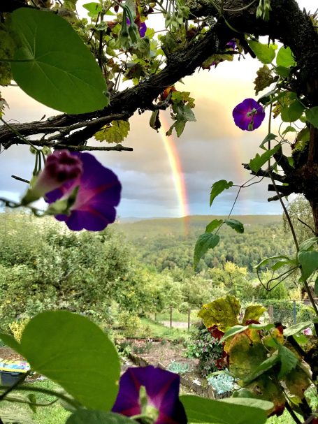 Über uns Nutzwasserversorgung Rohracker 1936 Galerie Bild 6