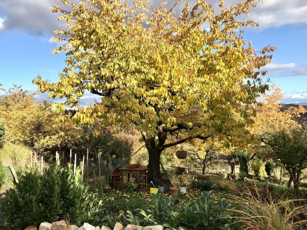 Über uns Nutzwasserversorgung Rohracker 1936 Galerie Bild 7